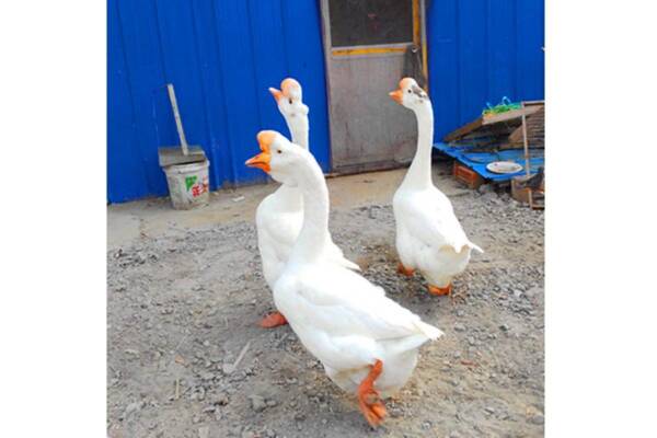 2023090225326071.jpeg 6(1).jpeg