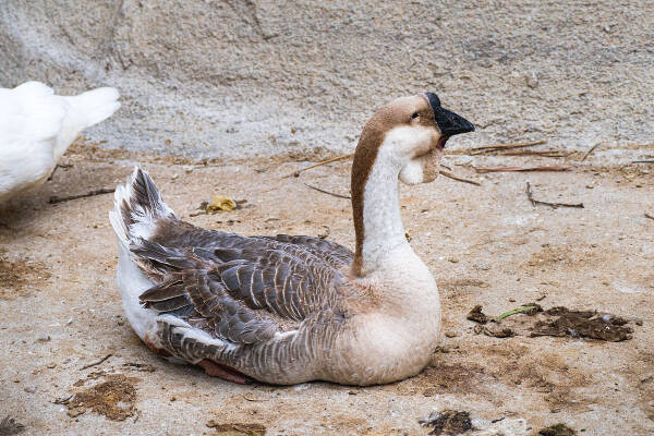 2023090243566013.jpeg 2(1).jpeg