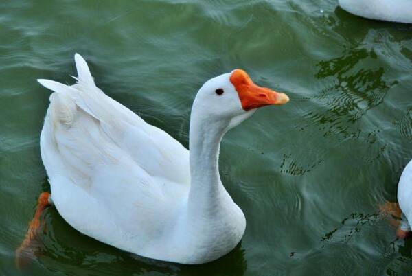 2023090265318474.jpeg 10(1).jpeg