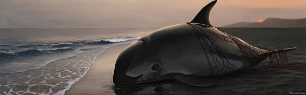 2023090318607710.jpeg 11(1).jpeg