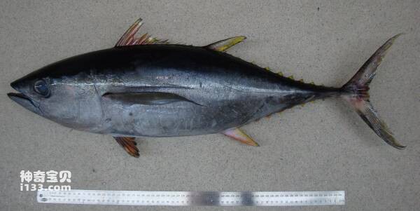 2023090320238524.jpg 10(1).jpg