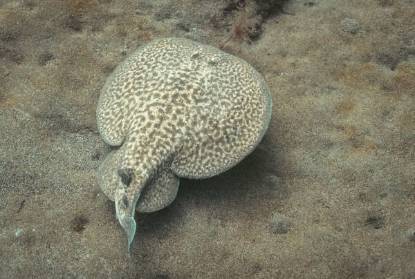 2023090414403108.jpeg 3(1).jpeg