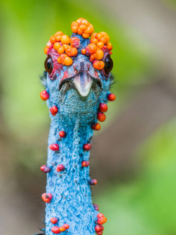 2023090415205938.jpeg 4(1).jpeg