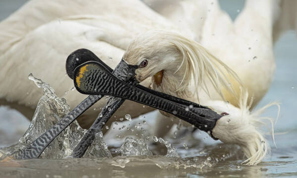 2023090416932139.jpeg 6(1).jpeg