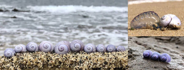 2023090457008377.jpeg 99(1).jpeg