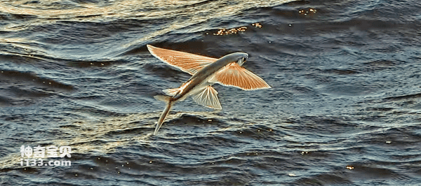 2023090589840898.png 10(1).png