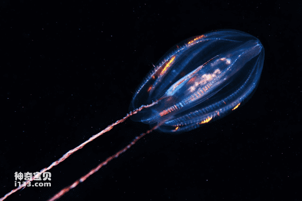 2023090631987204.png 3(1).png