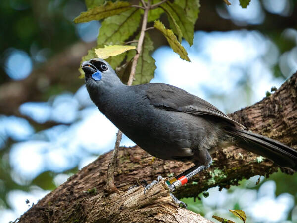 2023090920575051.jpeg 3(1).jpeg