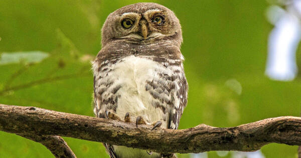 2023090960075056.jpeg 9(1).jpeg