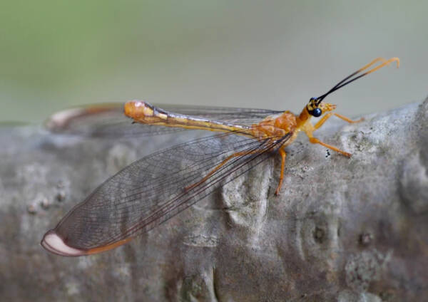 2023091015228203.jpeg 8(1).jpeg