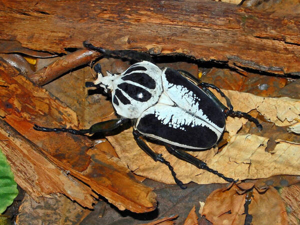 2023091018505674.jpeg 5(1).jpeg