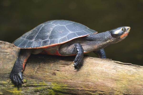 2023091114406759.jpeg 7(1).jpeg