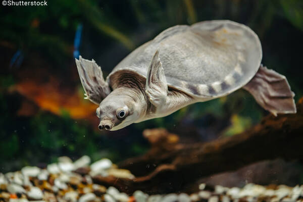 2023091145291287.jpeg 4(1).jpeg