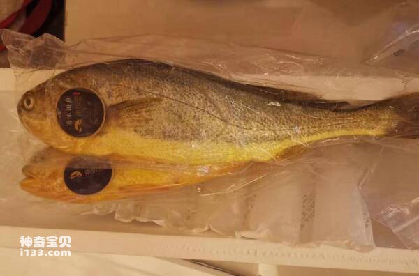 2023091310514862.jpg 1(1).jpg