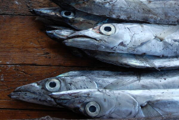 2023091315398563.jpeg 8(1).jpeg