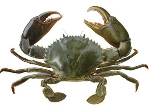 2023091320297633.jpeg 9(1).jpeg