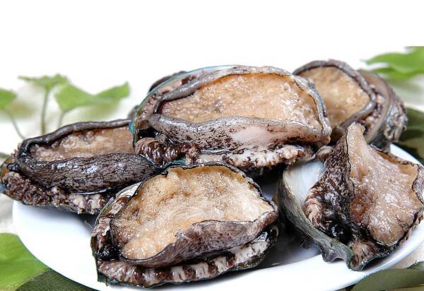 2023091379791404.jpeg 6(1).jpeg