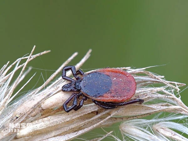 2023091413081496.jpg 4.jpg