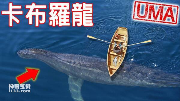 2023091414063706.jpg 5.jpg