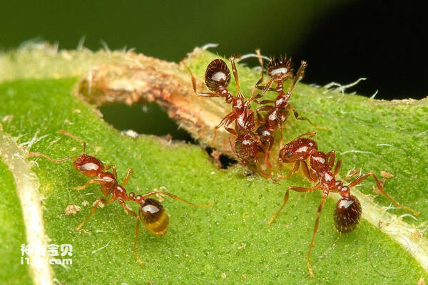 2023091416083466.jpg 9.jpg