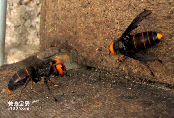 2023091420989205.jpg 1.jpg