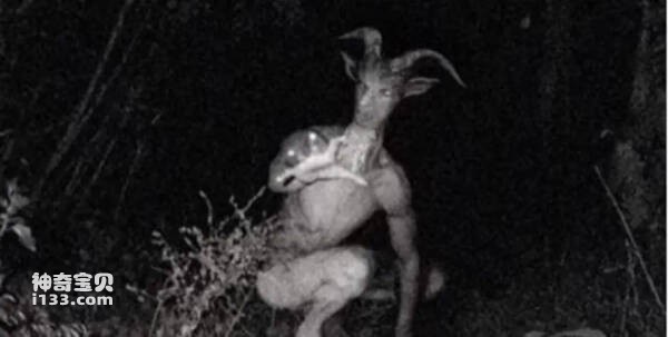 2023091471301103.jpg 8.jpg