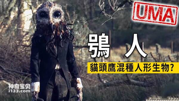 2023091473158356.jpg 9.jpg