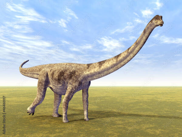 2023091515511018.jpeg 5(1).jpeg