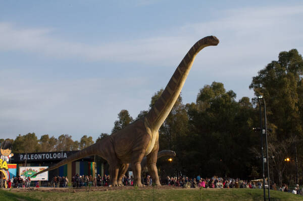 2023091521273598.jpeg 9(1).jpeg