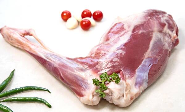 2023091618145827.jpeg 7(1).jpeg