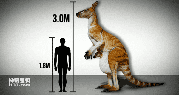 2023091647591668.png 10(1).png