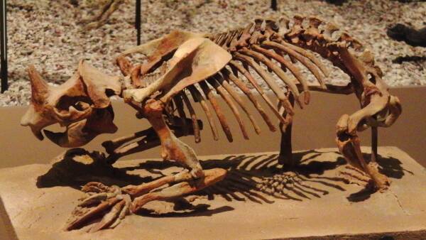 2023091679141139.jpeg 3(1).jpeg