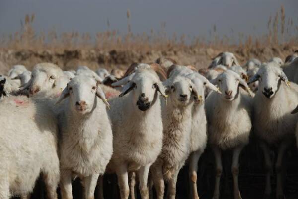 2023091710824606.jpeg 3(1).jpeg