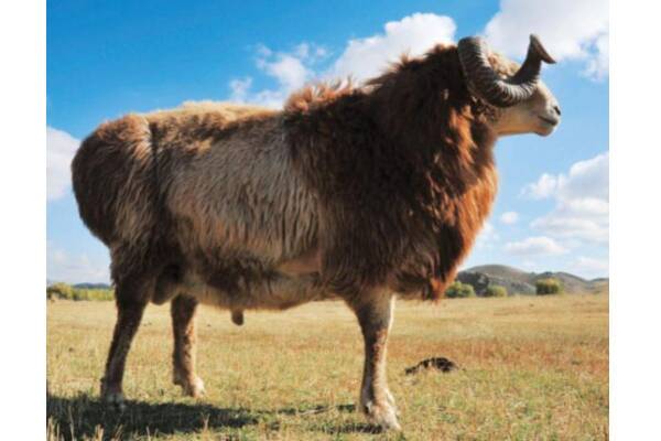 2023091712880842.jpeg 2(1).jpeg