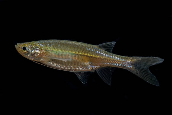 2023091716566056.jpeg 5(1).jpeg