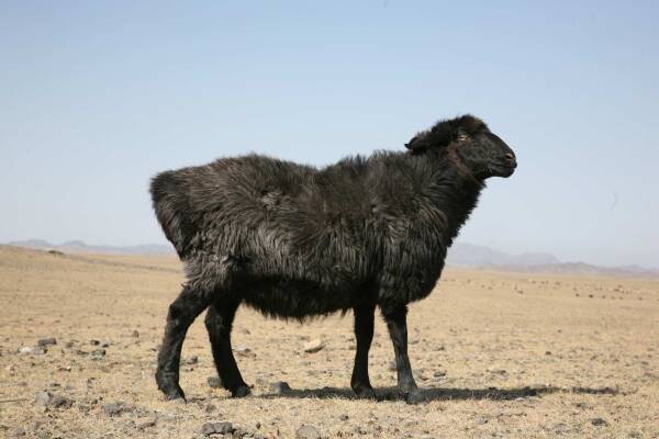 2023091718695998.jpeg 10(1).jpeg