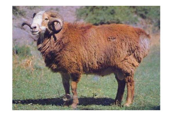 2023091721065407.jpeg 5(1).jpeg