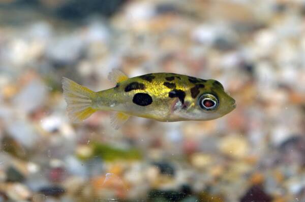 2023091767291860.jpeg 10(1).jpeg