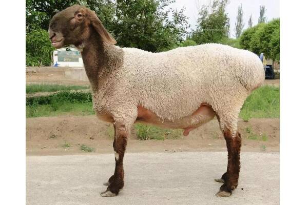 2023091772582851.jpeg 7(1).jpeg