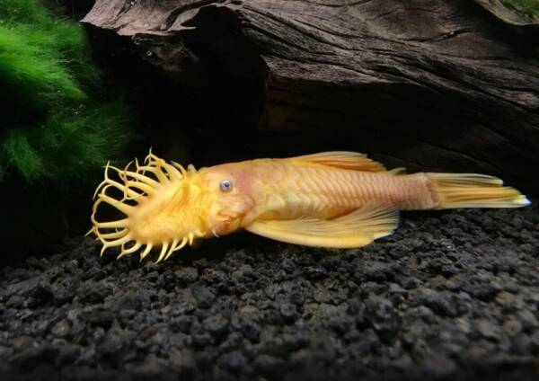 2023091786672820.jpeg 6(1).jpeg