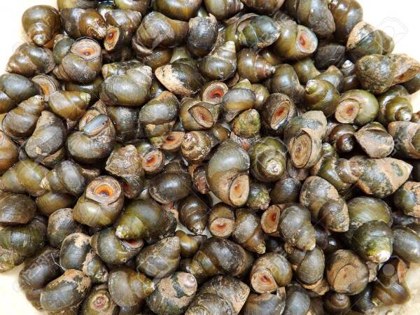 2023091916265726.jpeg 7(1).jpeg