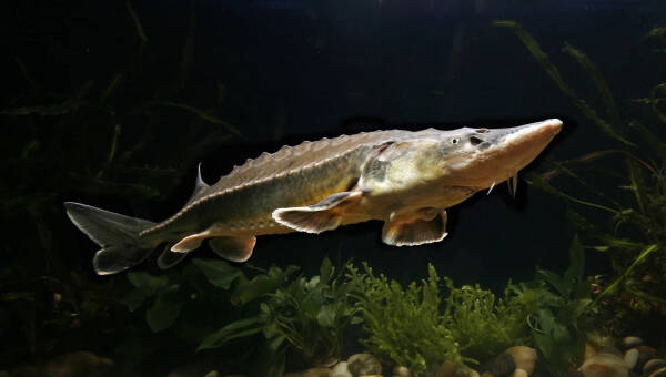 2023092011169920.jpeg 3(1).jpeg