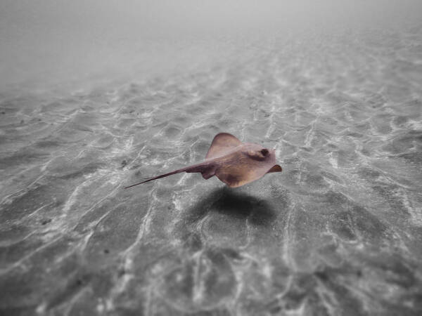 2023092011173616.jpeg 5(1).jpeg