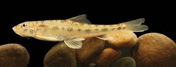 2023092017098144.jpeg 9(1).jpeg