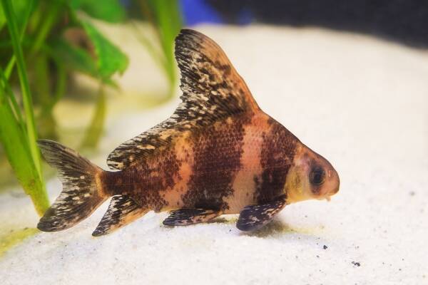 2023092038166371.jpeg 2(1).jpeg