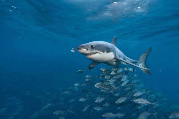 2023092082639675.jpeg 10(1).jpeg