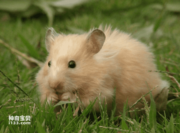 2023092311392551.png 4(1).png