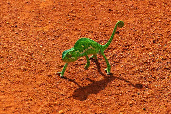 2023092312715298.jpeg 9(1).jpeg