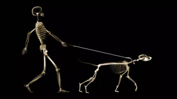 2023092313180659.jpeg 10(1).jpeg