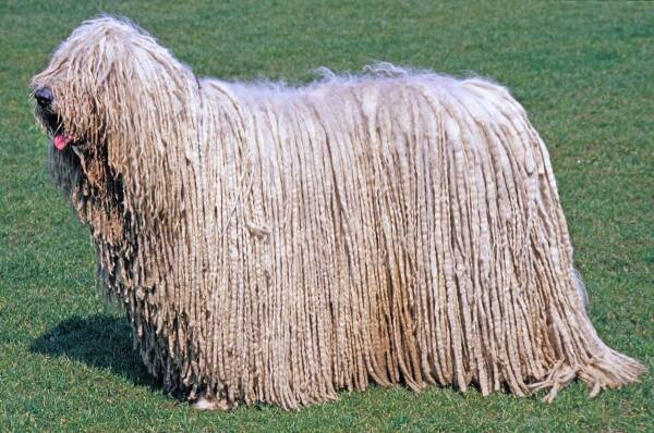 2023092379066636.jpeg 7(1).jpeg